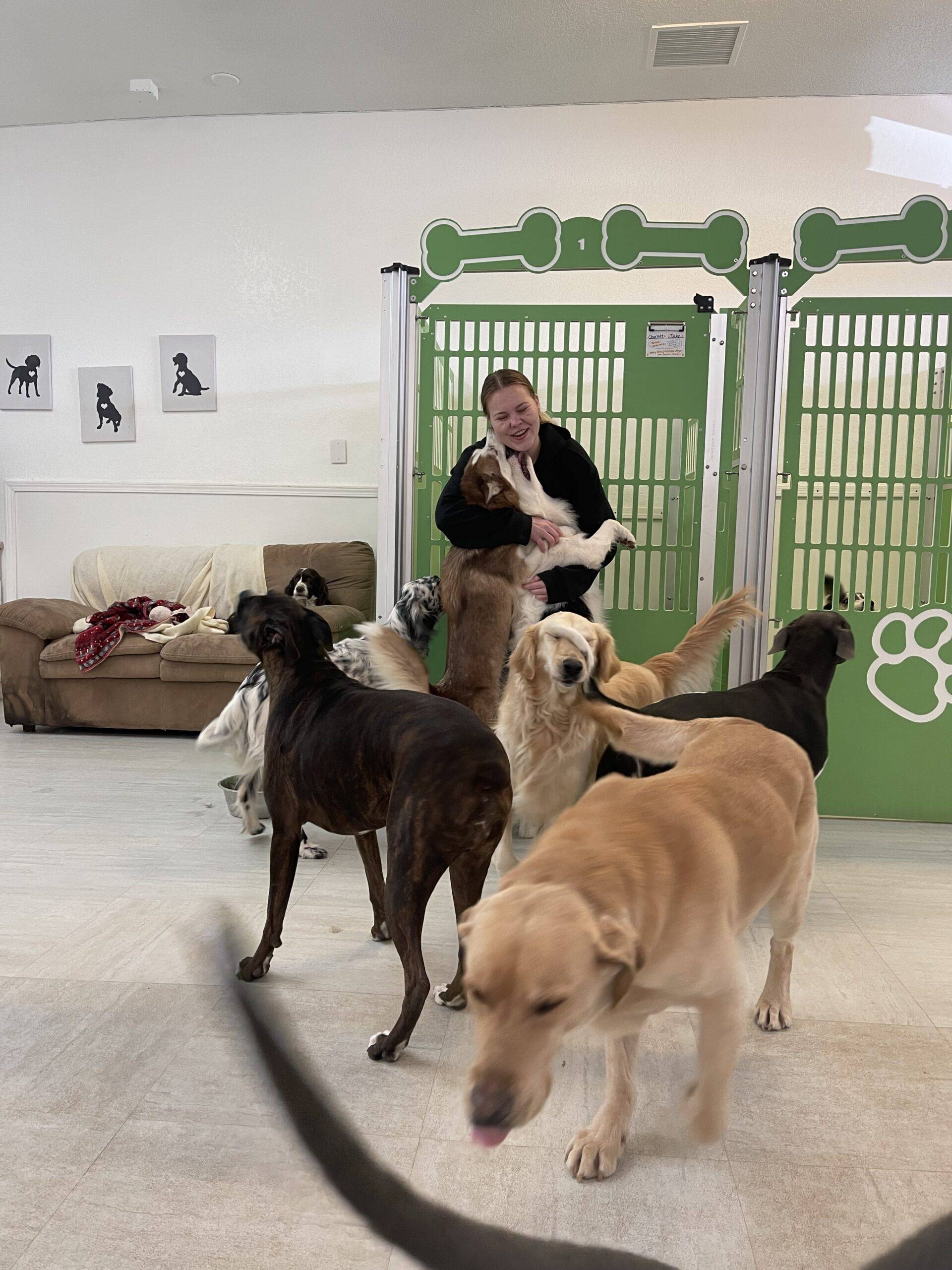 Woman in Ft. Mohave, AZ is enjoying premium pet services playing with dogs in a dog kennel.